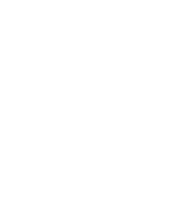 Insight Inspection Services Logo